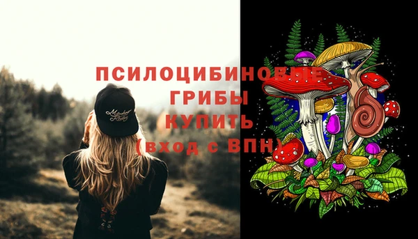 спайс Алзамай