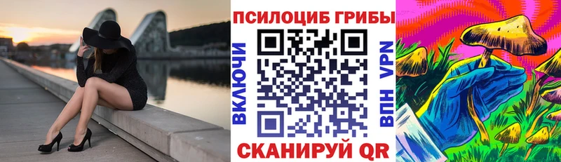 Псилоцибиновые грибы MAGIC MUSHROOMS  дарк нет формула  Владикавказ 