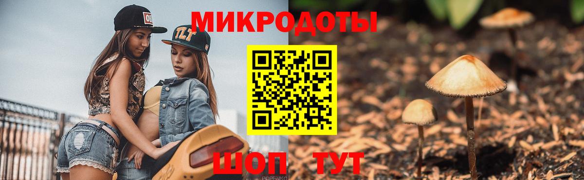 Псилоцибиновые грибы Cubensis  Псилоцибиновые грибы ЛСД  цена   Владикавказ  Вход с VPN 